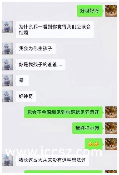 白鸟寿美礼，在线播放的魅力与影响力探索