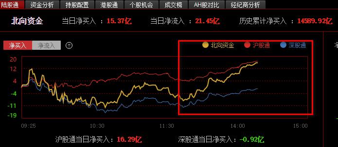 002642最新消息全面解析报告