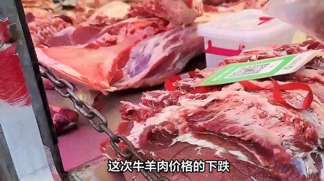 今日羊肉市场走势分析，最新行情报告揭示最新动态