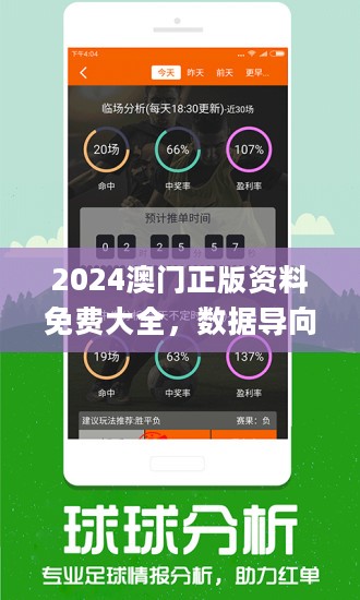 2024年新澳历史开奖记录,专业调查解析说明_苹果版66.365