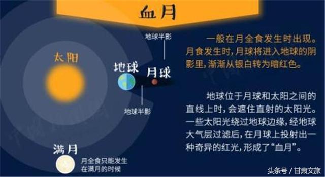 今晚澳门精准一肖一马,科学化方案实施探讨_HDR87.152