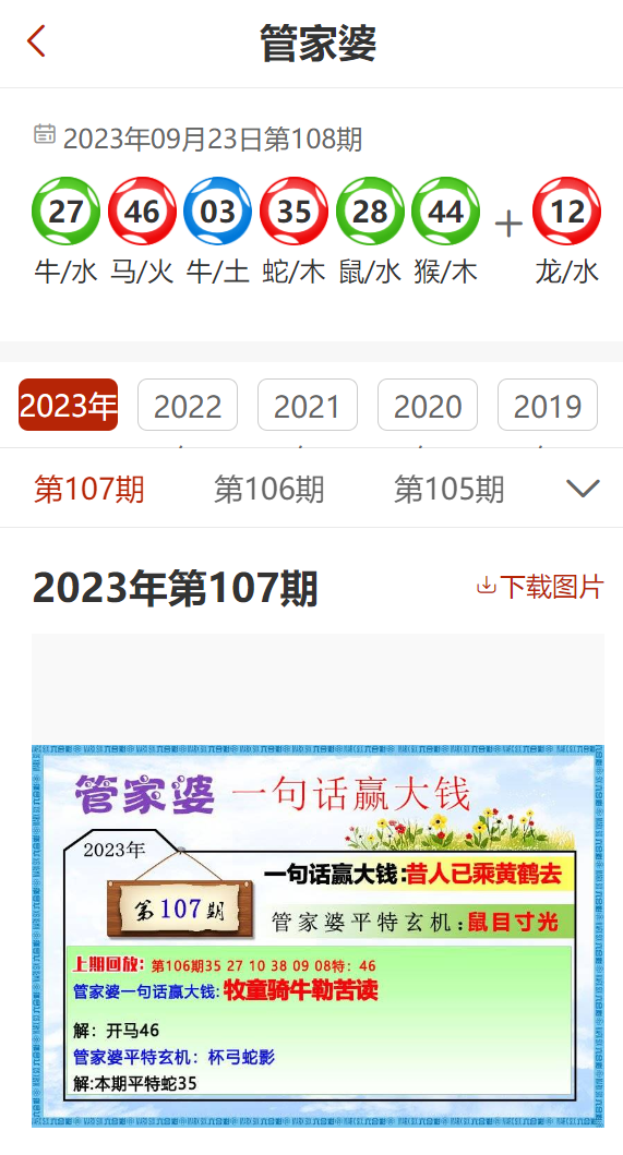 2024年11月 第41页