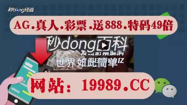 2024澳门天天开好彩大全蛊,数据资料解释落实_HarmonyOS80.392