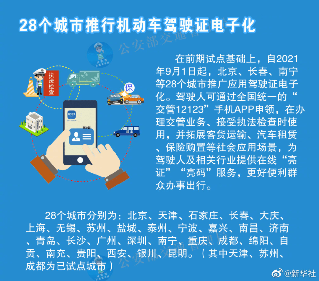 新澳内部资料精准一码,最佳实践策略实施_V212.221