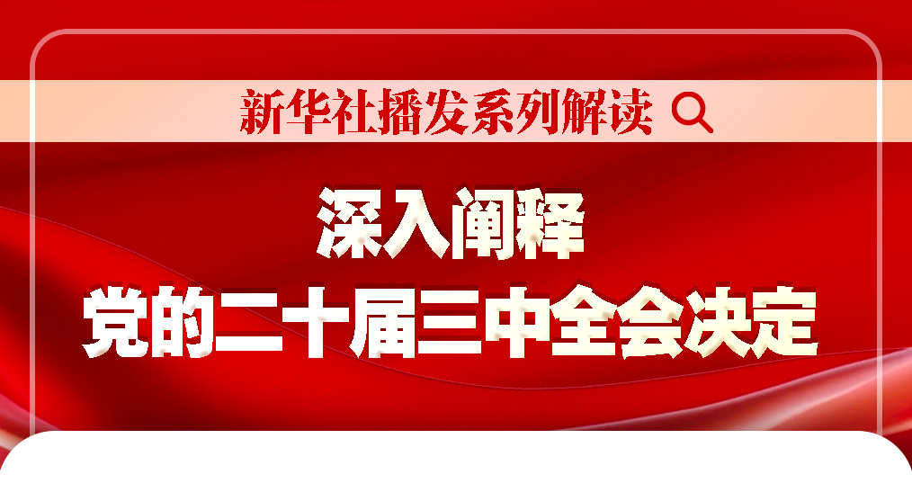 管家婆一肖-一码-一中,全面解读说明_领航款77.210