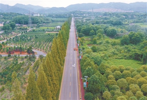 雨花区跳马镇未来蓝图揭秘，最新规划引领城市新发展