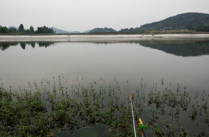 黄鹿水库最新鱼汛，生态繁荣与休闲垂钓的理想之地