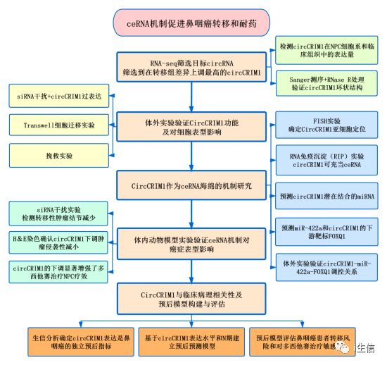 新澳正版资料免费大全,结构化推进评估_Elite38.116