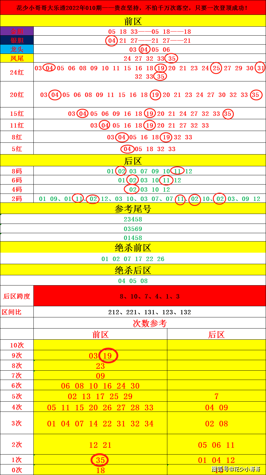 2024年香港港六+彩开奖号码,专业解析说明_DP33.534