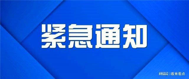 电白最新新闻聚焦，发展动态与时事热点解读