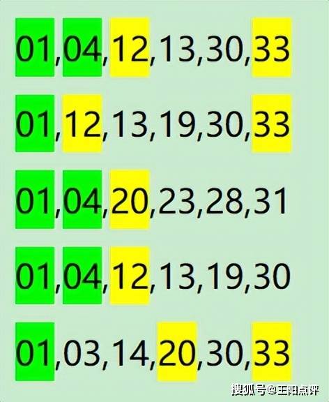 一肖一码100-准资料｜数据解释说明规划