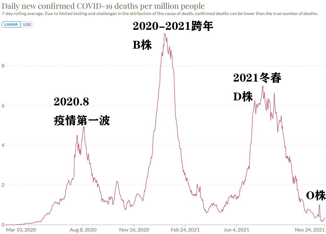 唐驳虎最新动态，探寻历史与现实的独特魅力