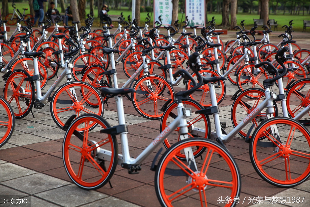 Mobike最新价格动态，探讨价格变化及相关因素