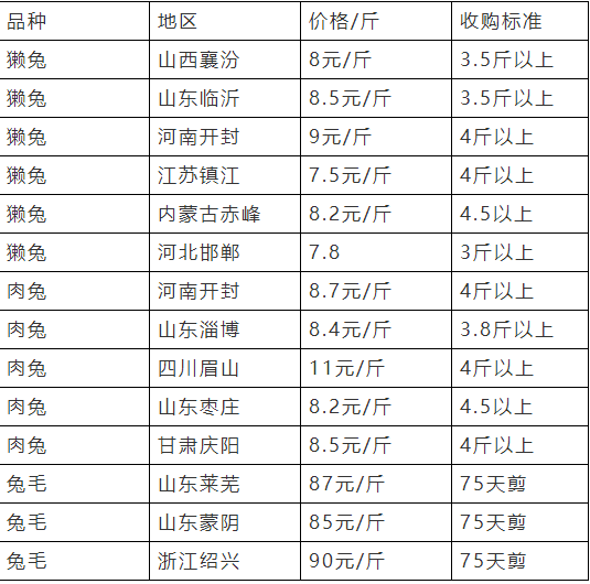 2012年獭兔最新价格分析与探讨