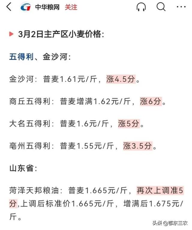 淮安小麦最新价格动态分析与趋势预测