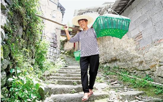 最新部队鞋子图片展示，现代军事装备的魅力风采